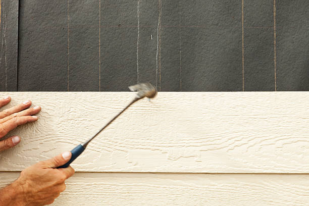 Best Siding Replacement  in Wickenburg, AZ